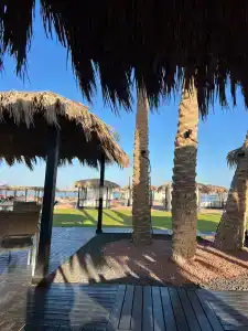 Steigenberger Alcazar - 97