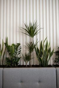 Best Western Premier Roosevelt - 75