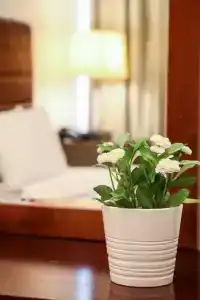 Mermaid Beach LLC - 25