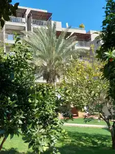 Barut Hemera - Ultra All Inclusive - 31