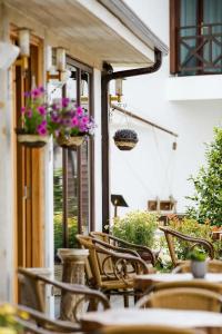 Assos Barbarossa - Special Category - 38