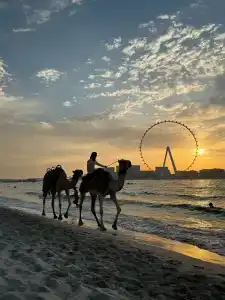 Rixos Premium Dubai JBR - 41