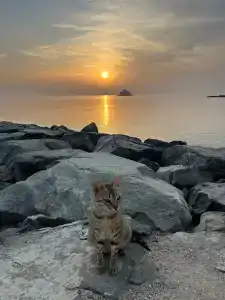 Radisson Blu Resort, Fujairah - 36