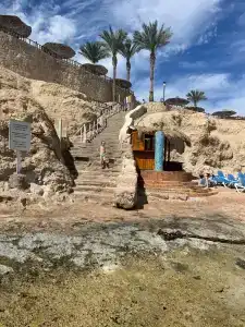 DoubleTree by Hilton Sharks Bay Resort - 8