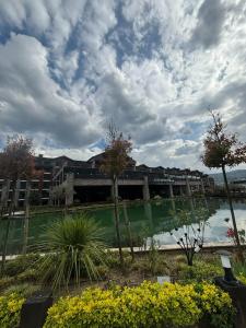 Elite World Grand Sapanca - 41