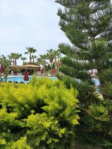 Justiniano Theodora Resort - 44