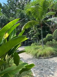 Sunshine Garden Resort - SHA Extra Plus - 81