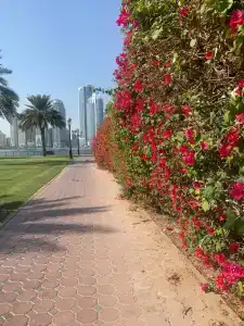 Holiday International - 6