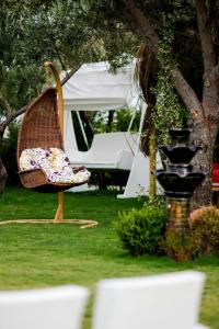 Assos Barbarossa - Special Category - 52