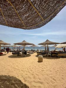 Savoy Sharm El Sheikh - 69