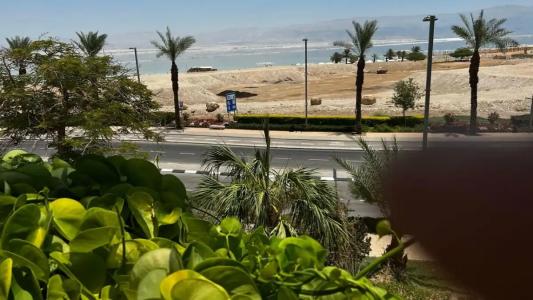 David Dead Sea Resort & Spa - 10