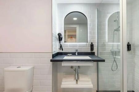 Vibra Palma Cactus - 78