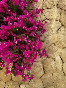 DoubleTree by Hilton Sharks Bay Resort - 97