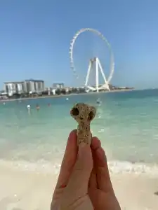Ramada & Suites by Wyndham Dubai JBR - 59