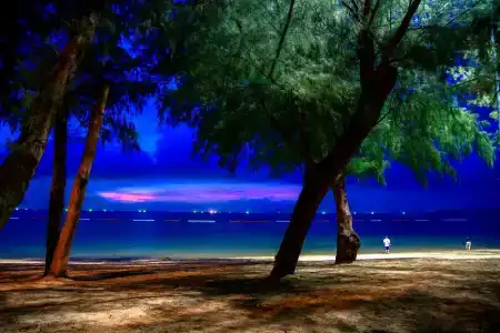 Rabbit Resort Pattaya - 32