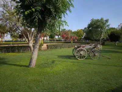 Tuı Magic Life Jacaranda - 45