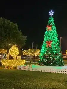 InterContinental Abu Dhabi, an IHG - 66