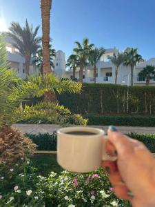 Mirage Bay Resort & Aqua Park - 98