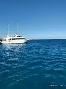 штайгенбергер аква мэджик - 85