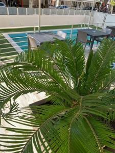 Audi Frontemare - 12