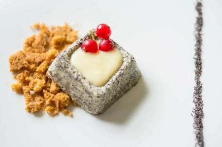 Rubin Wellness & Conference - 50