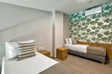 White Olive Premium Laganas - 30