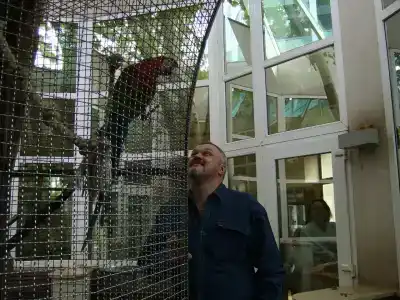 NaturMed Carbona - 95