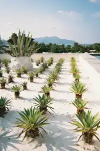 Liberty Fabay - Ultra All Inclusive - 96