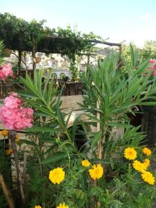 Melekler Evi Cave - 64