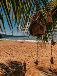 Ramada Resort by Wyndham Khao Lak - SHA Plus Extra - 41