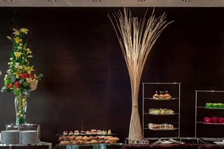 Radisson Blu, Doha - 28