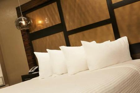 Metropolitan at The 9, Autograph Collection - 13