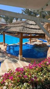 Xperience Sea Breeze Resort - 51