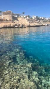 Savoy Sharm El Sheikh - 60