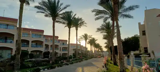 Ivy Cyrene Sharm Resort Adults Friendly Plus 13 - 11