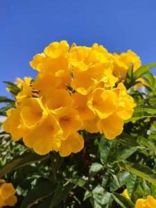 Pickalbatros Aqua Park Sharm El Sheikh - 61