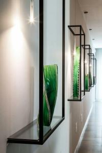 Giardino Dei Pini - 42