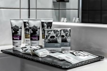 Mercure Frankfurt City Messe - 88