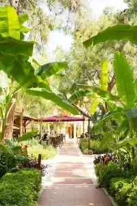 ROBINSON CAMYUVA - Adults only - 6