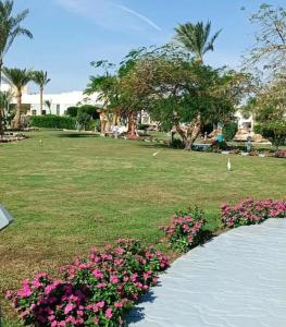 Aurora Oriental Resort Sharm El Sheikh - 96