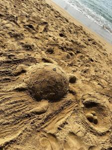 VONRESORT Golden Beach & Aqua - Kids Concept-Ultra All Inclusive - 45