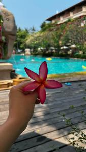 Avalon Beach Resort - 17