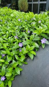 Courtyard by Marriott Vilnius City Center - 10