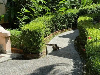 Khaolak Palm Beach Resort - 55