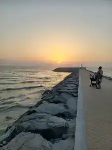 Bahi Ajman Palace - 91