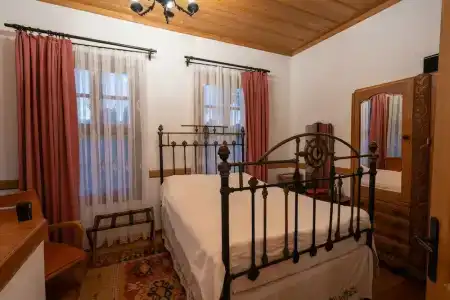 Cedrus - 20