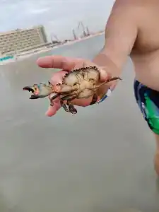 Hampton By Hilton Marjan Island - 42