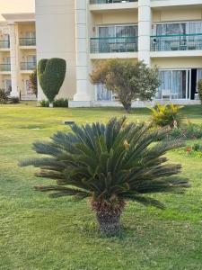 Swiss Inn Resort Hurghada - 24