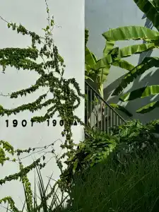 Paloma Finesse Side - 78