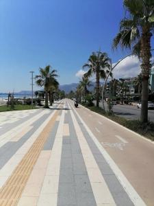 Kaila Krizantem - 38